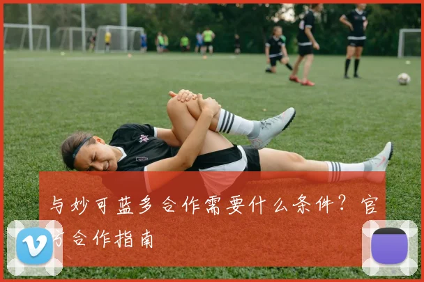与妙可蓝多合作需要什么条件？官方合作指南